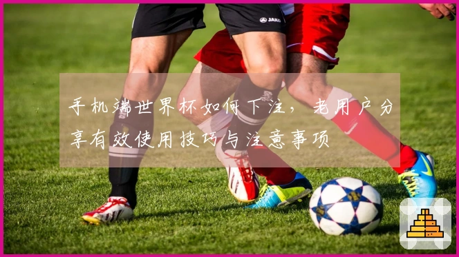 手机端世界杯如何下注，老用户分享有效使用技巧与注意事项