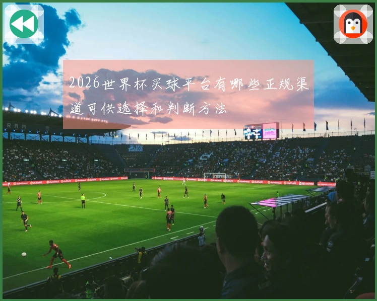 2026世界杯买球平台有哪些正规渠道可供选择和判断方法