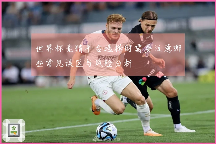 世界杯竞猜平台选择时需要注意哪些常见误区与风险分析