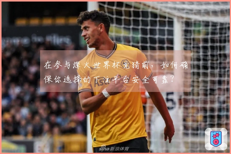 在参与烽火世界杯竞猜前，如何确保你选择的下注平台安全可靠？