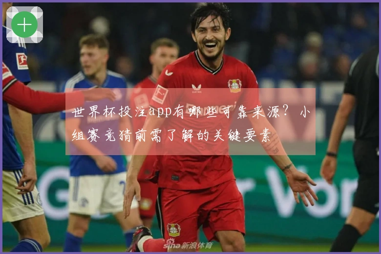 世界杯投注app有哪些可靠来源？小组赛竞猜前需了解的关键要素