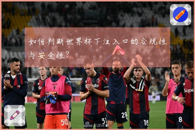 如何判断世界杯下注入口的合规性与安全性？