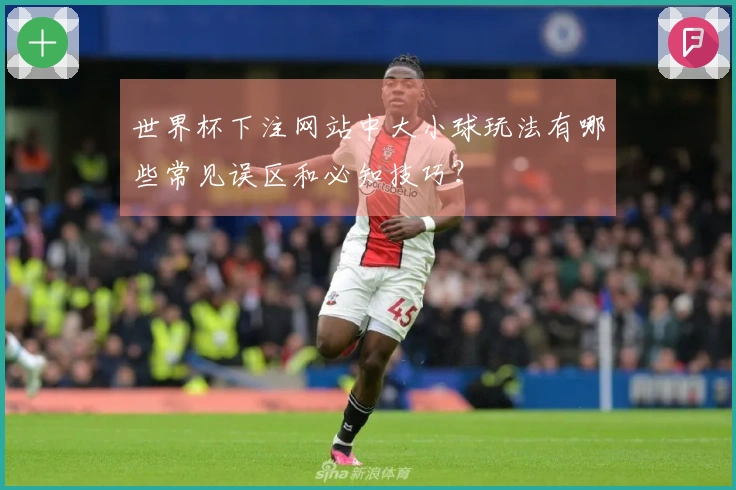 世界杯下注网站中大小球玩法有哪些常见误区和必知技巧？