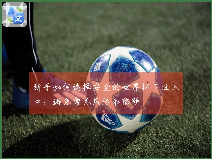 新手如何选择安全的世界杯下注入口,避免常见风险和陷阱