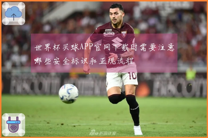 世界杯买球APP官网下载时需要注意哪些安全标识和正规流程
