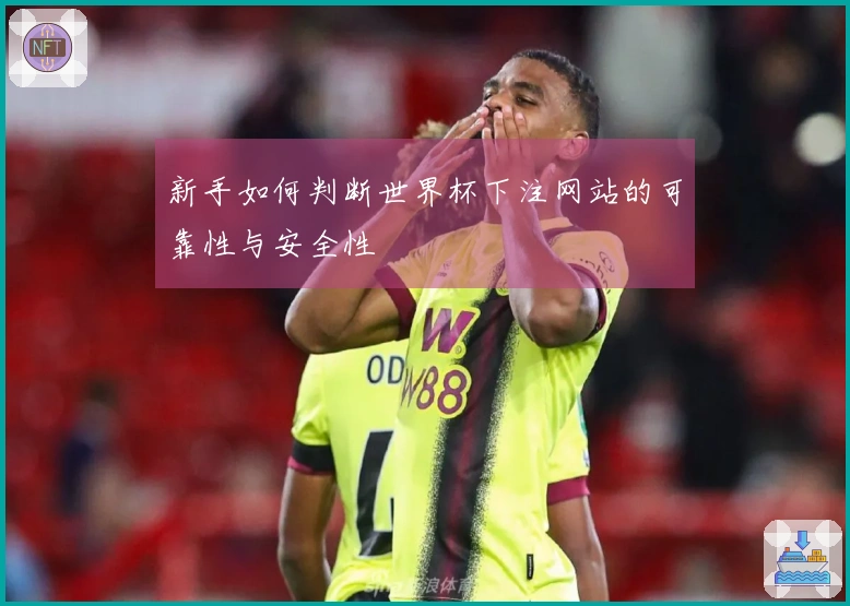 新手如何判断世界杯下注网站的可靠性与安全性