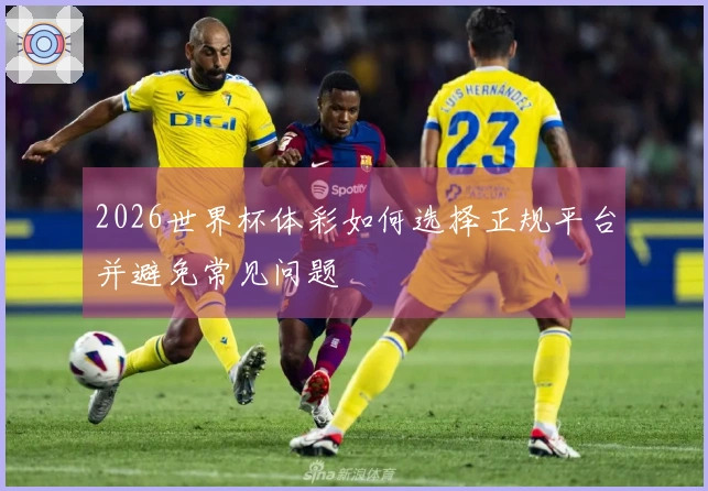 2026世界杯体彩如何选择正规平台并避免常见问题