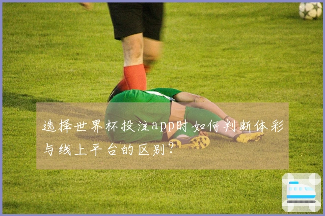 选择世界杯投注app时如何判断体彩与线上平台的区别？