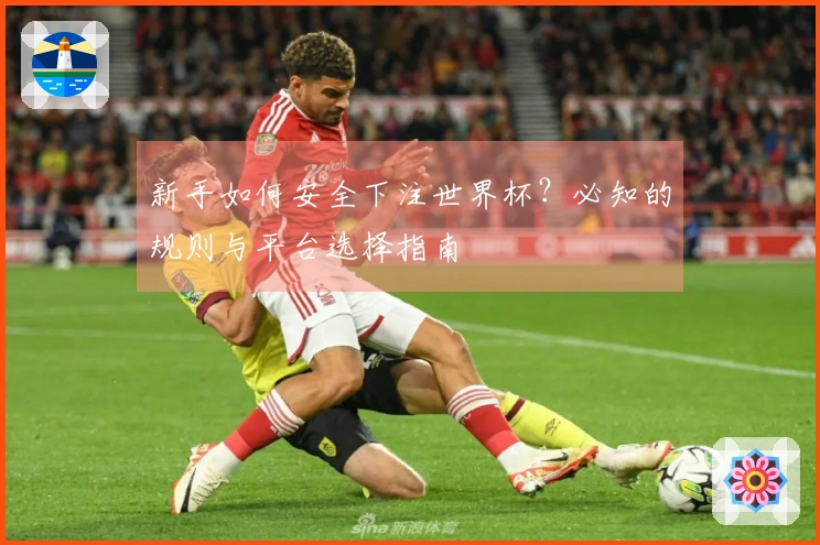 新手如何安全下注世界杯？必知的规则与平台选择指南