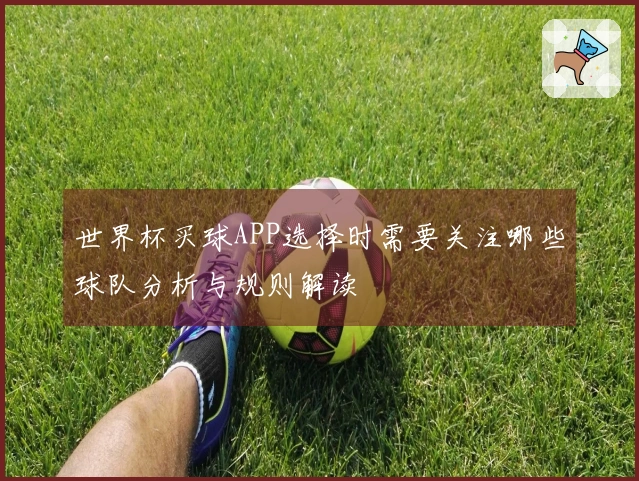 世界杯买球APP选择时需要关注哪些球队分析与规则解读