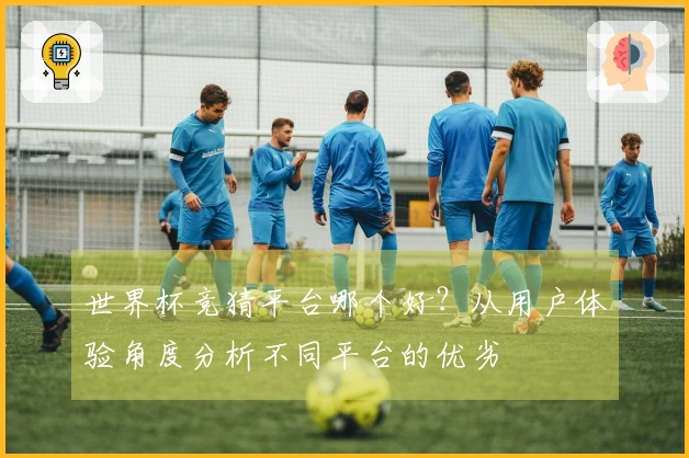 世界杯竞猜平台哪个好？从用户体验角度分析不同平台的优劣