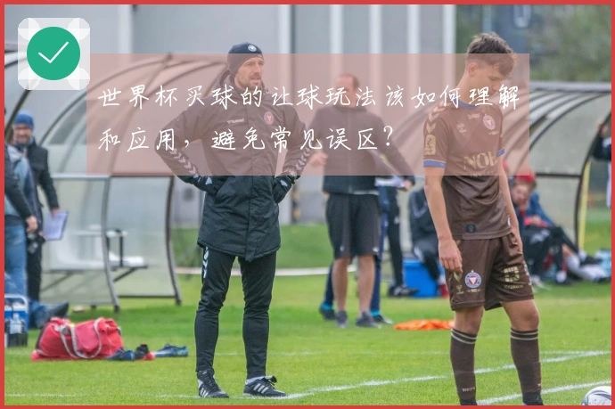 世界杯买球的让球玩法该如何理解和应用，避免常见误区？