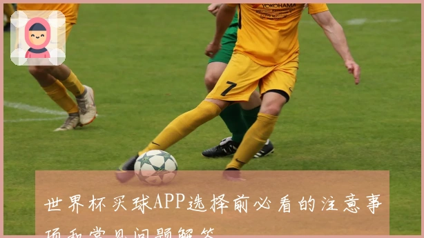 世界杯买球APP选择前必看的注意事项和常见问题解答