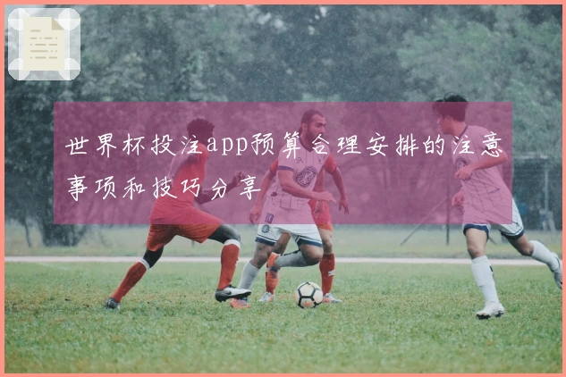 世界杯投注app预算合理安排的注意事项和技巧分享