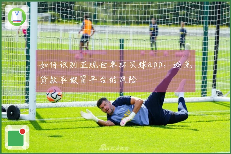 如何识别正规世界杯买球app，避免贷款和假冒平台的风险