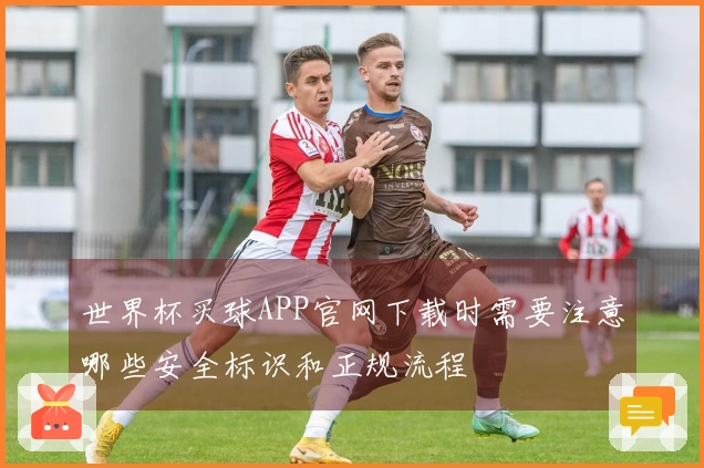 世界杯买球APP官网下载时需要注意哪些安全标识和正规流程