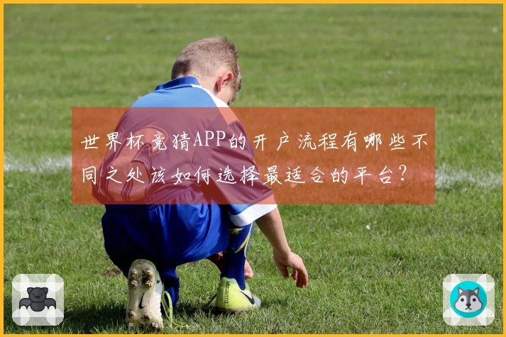 世界杯竞猜APP的开户流程有哪些不同之处该如何选择最适合的平台？