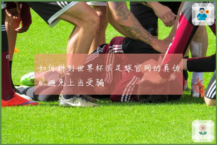 如何辨别世界杯买足球官网的真伪以避免上当受骗