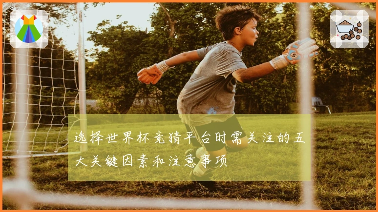 选择世界杯竞猜平台时需关注的五大关键因素和注意事项