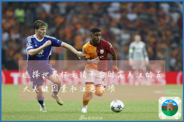 选择世界杯竞猜平台时需关注的五大关键因素和注意事项