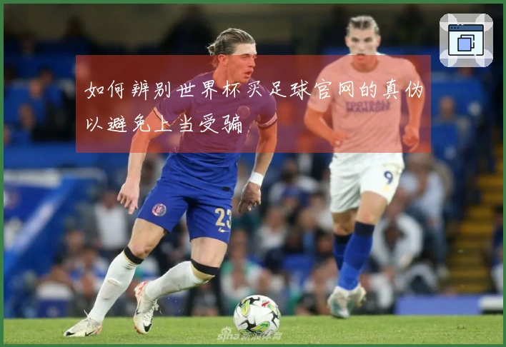 如何辨别世界杯买足球官网的真伪以避免上当受骗