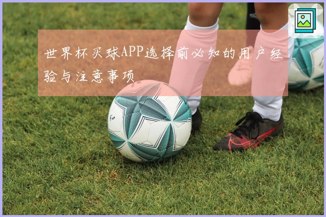 世界杯买球APP选择前必知的用户经验与注意事项